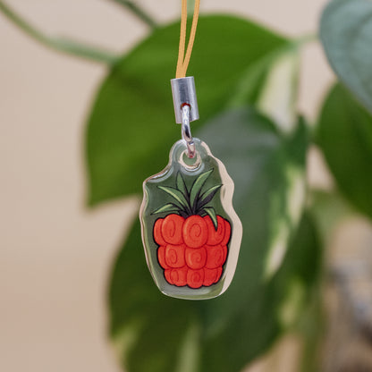 Devil Fruit Phone Charms